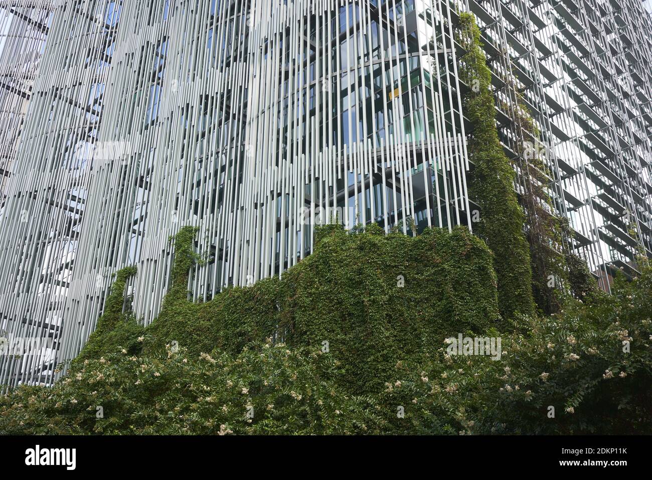 The Edith Green–Wendell Wyatt Federal Building in downtown Portland. Eco-friendly building exterior. Stock Photo