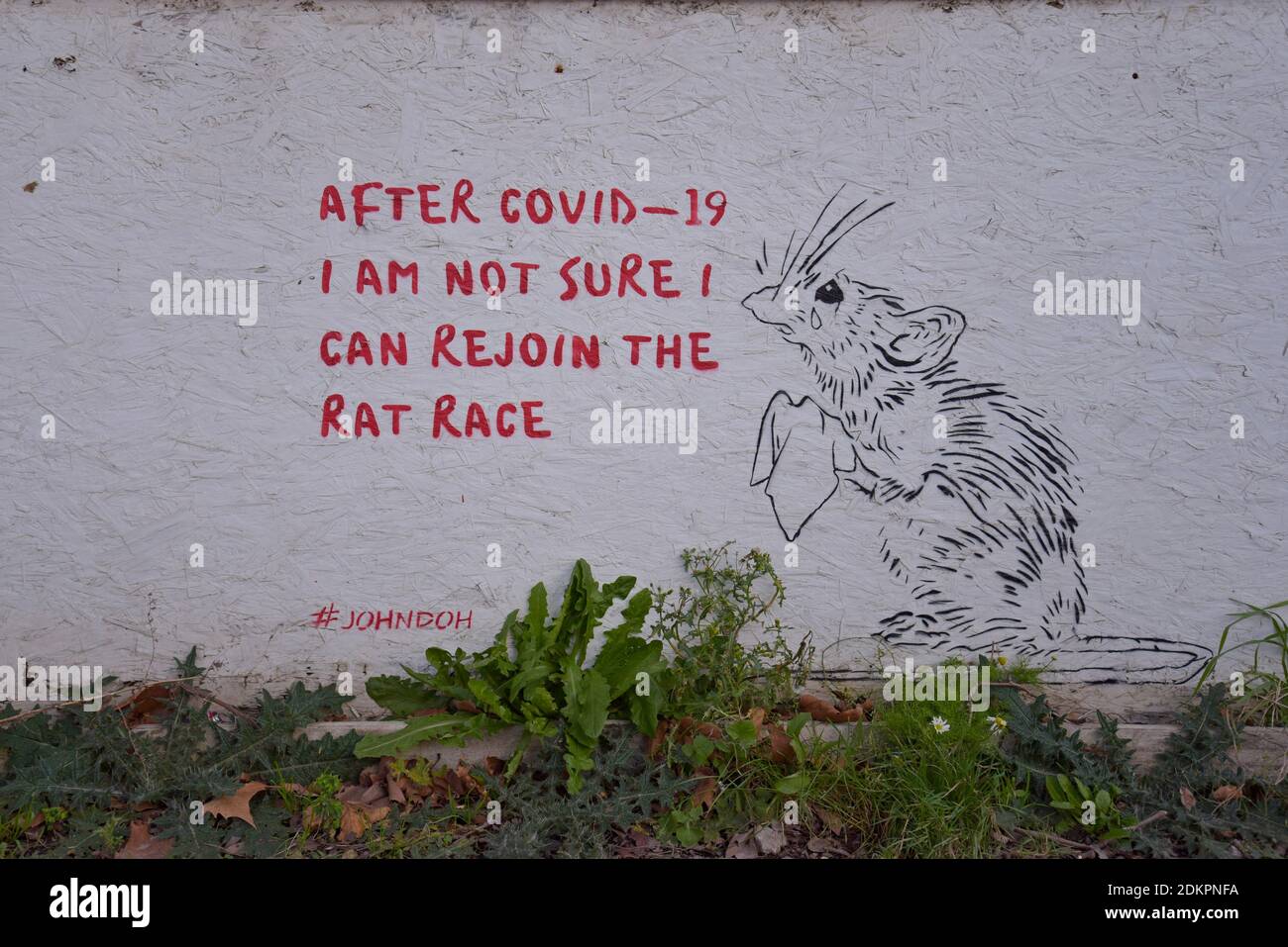 Street art in Cheltenham, Glos faturing a rat not wanting to rejoin the rat race after Covid 19 Stock Photo