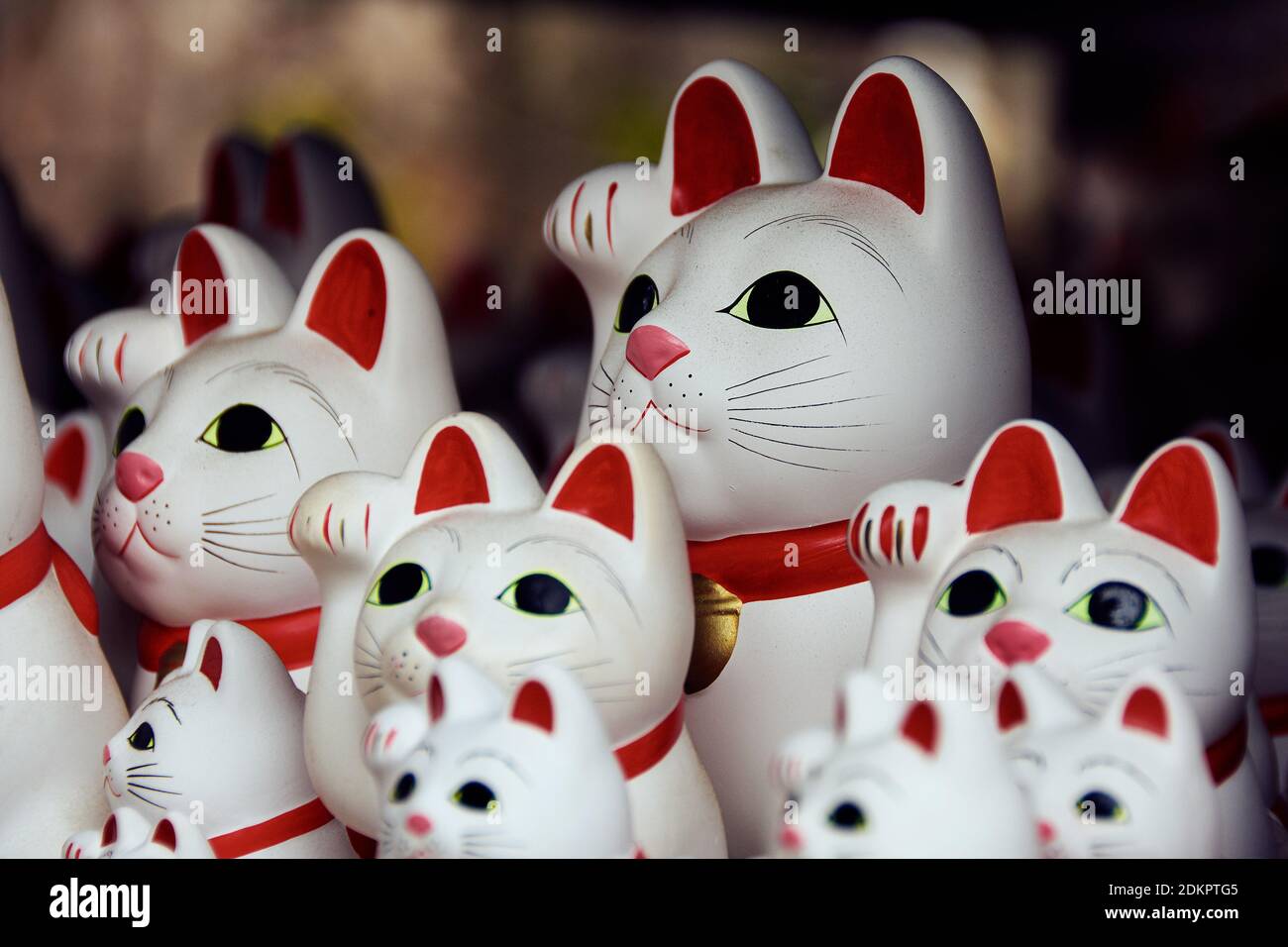 Japanese cat hires stock photography and images Alamy