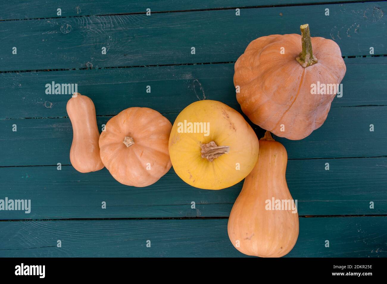 Various pumpkins on the table Stock Photo