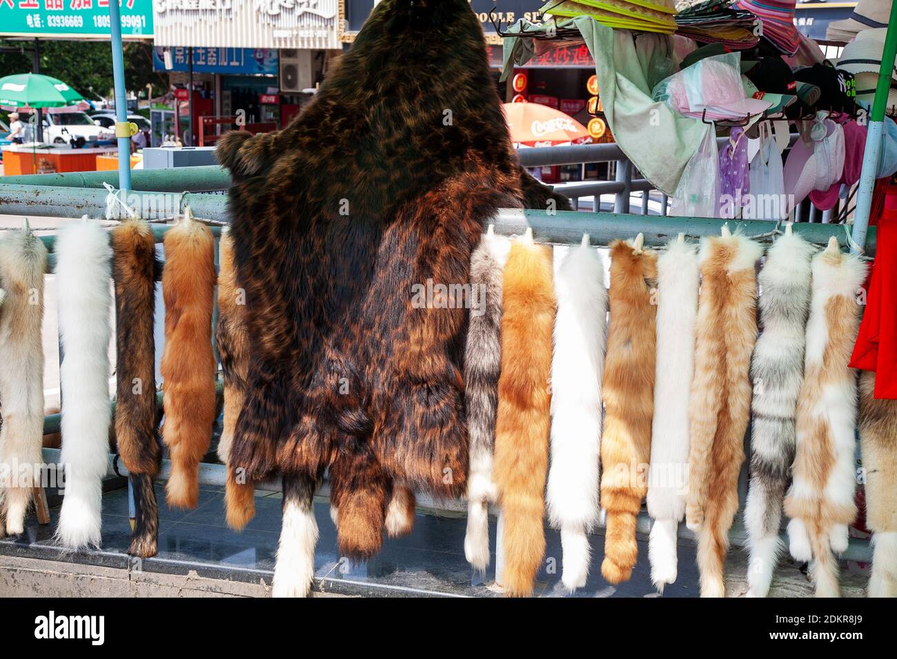 Real fur pelts hanging outside of furiers shop in Xian Xi'an China Stock Photo