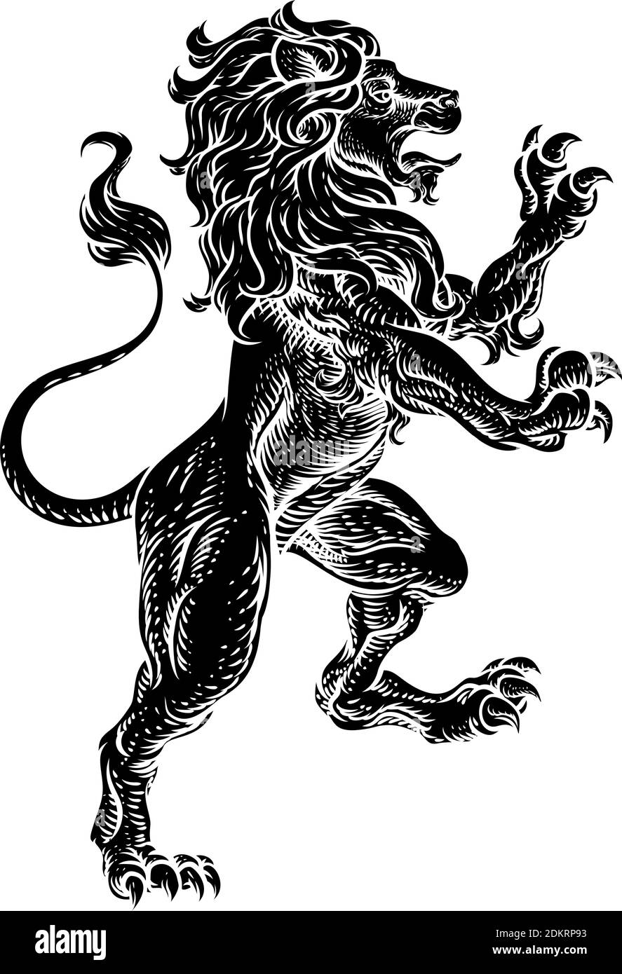 Lion Rearing Rampant Coat of Arms Heraldic Animal Stock Vector Image