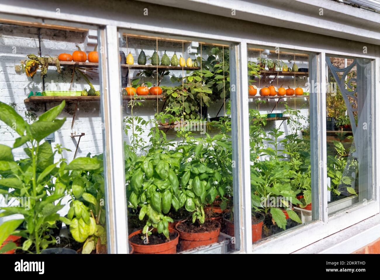Traditional greenhouse hi-res stock photography and images - Alamy