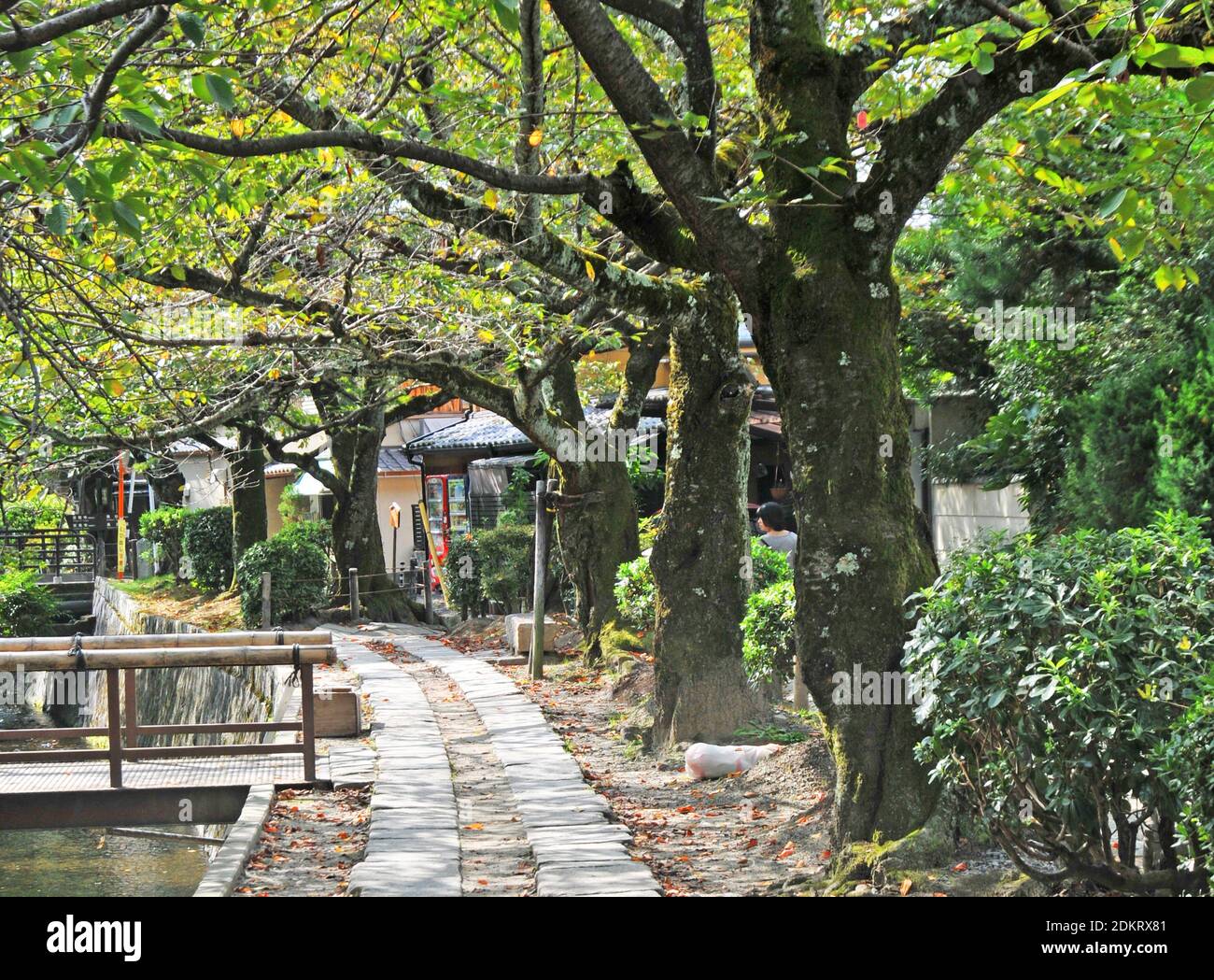 Tetsugaku no Michi, Philosopher's Walk, Kyoto Japan Stock Photo