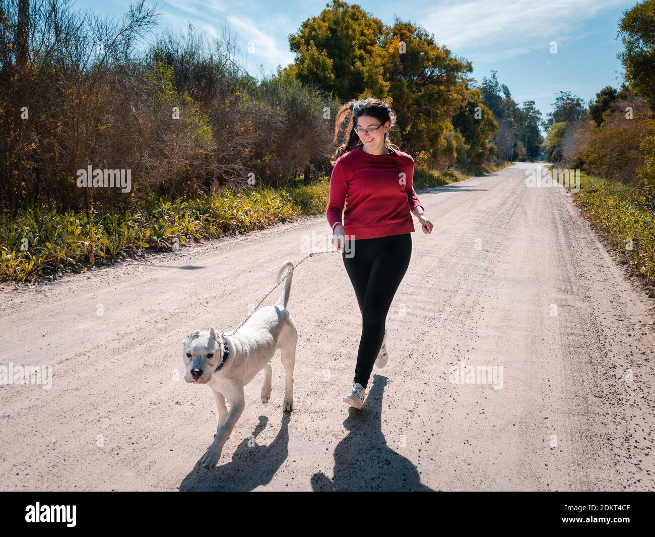 Girl and dog doing exercise Stock Photo