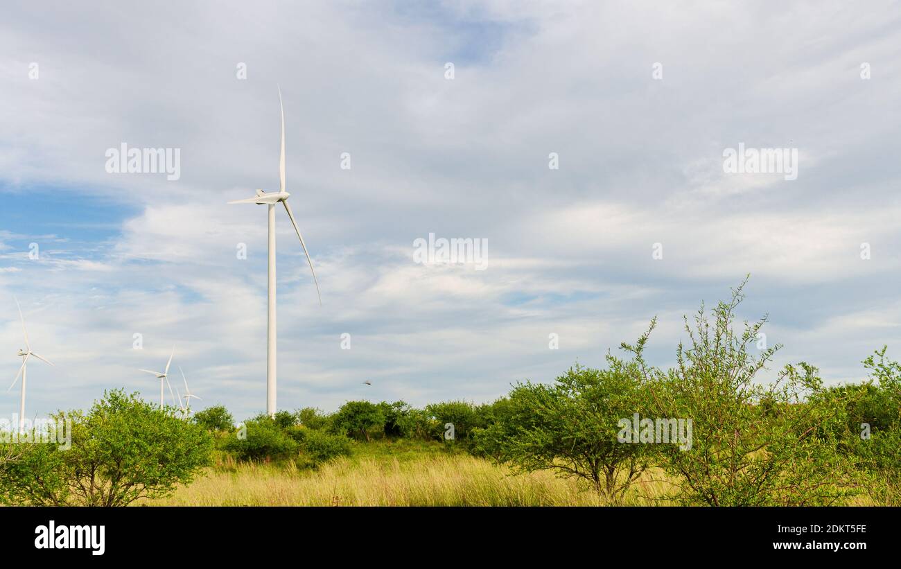 Wind farm in Uruguay. Green energy. New technology Stock Photo Alamy