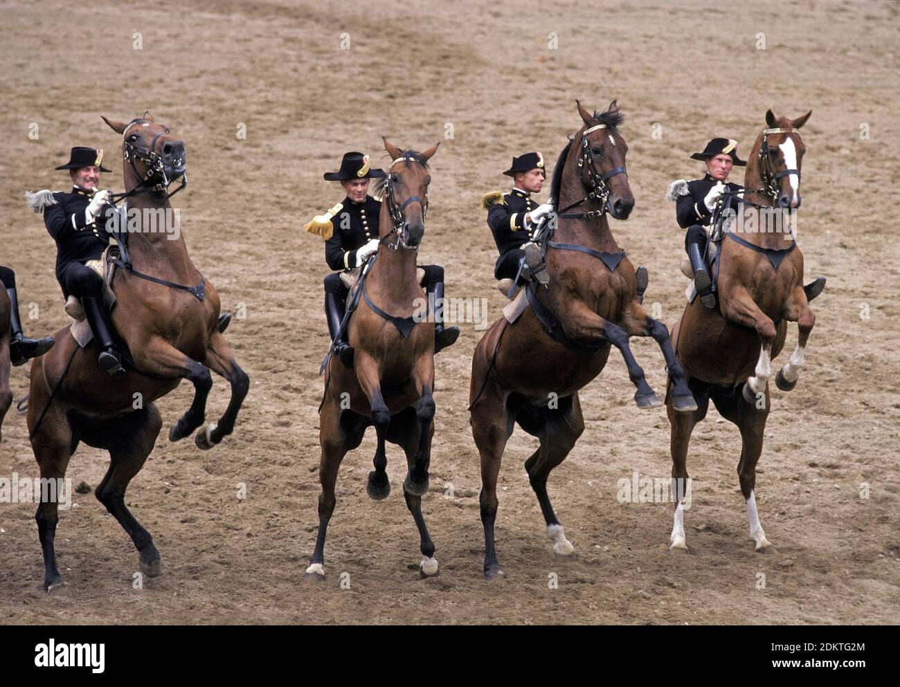 The Cadre Noir, an Equestrian Display Team based in the city of Saumur in western France Stock Photo