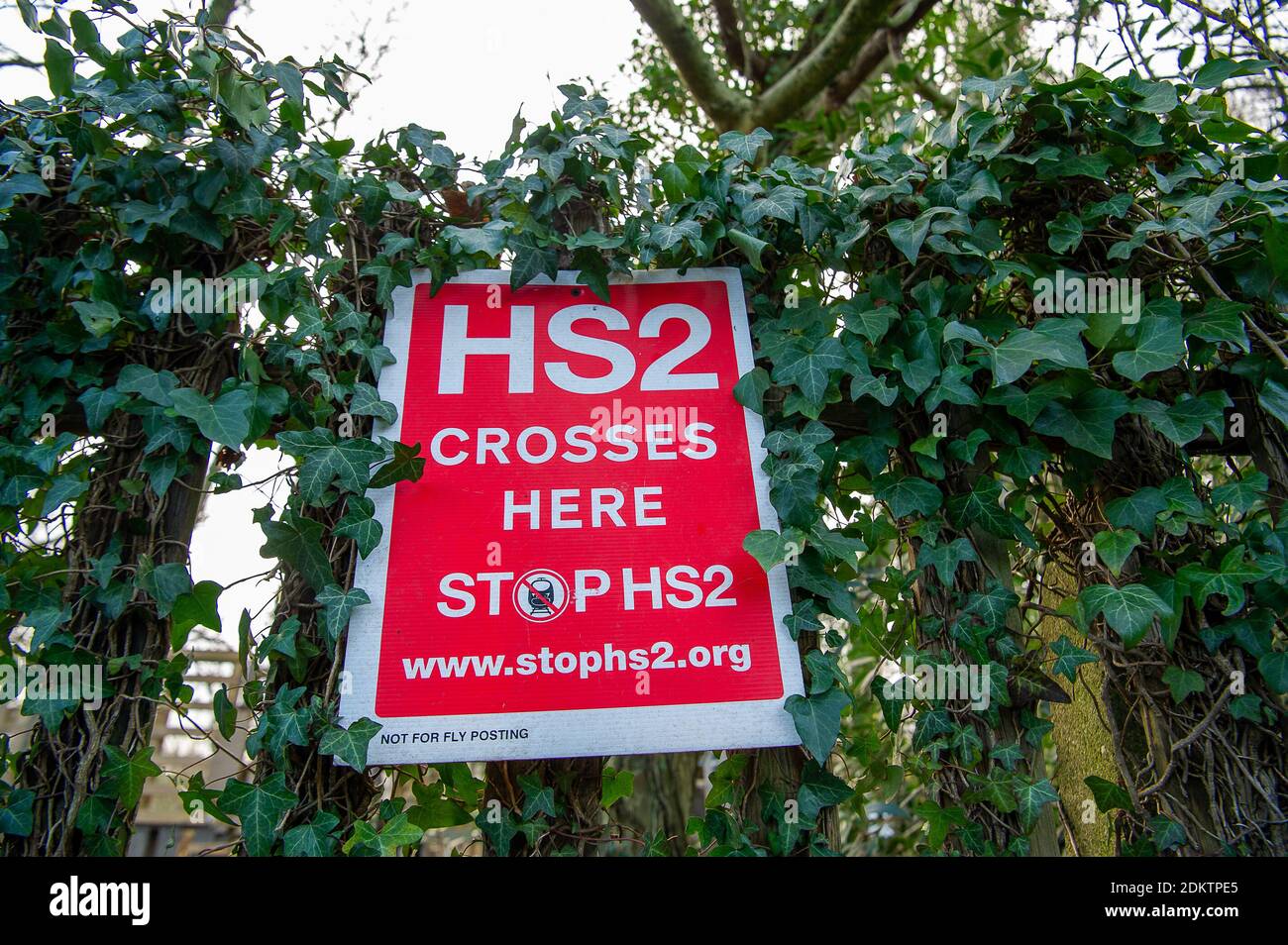 Wendover, Buckinghamshire, UK. 15th December, 2020. Stop HS2 signs outside the camp. Stop HS2 activists are busy at their Wendover Active Resistance Camp getting ready for the winter and building more tree houses. Their camp is situated in the direct route of the HS2 High Speed Rail link from London to Birmingham. The activists living at the camp are a collective of autonomous individuals with the aim of protecting the environment and wildlife. The controversial and over budget HS2 rail link puts 693 wildlife areas, 33 SSSIs and 108 ancient woodlands at risk. Credit: Maureen McLean/Alamy Stock Photo