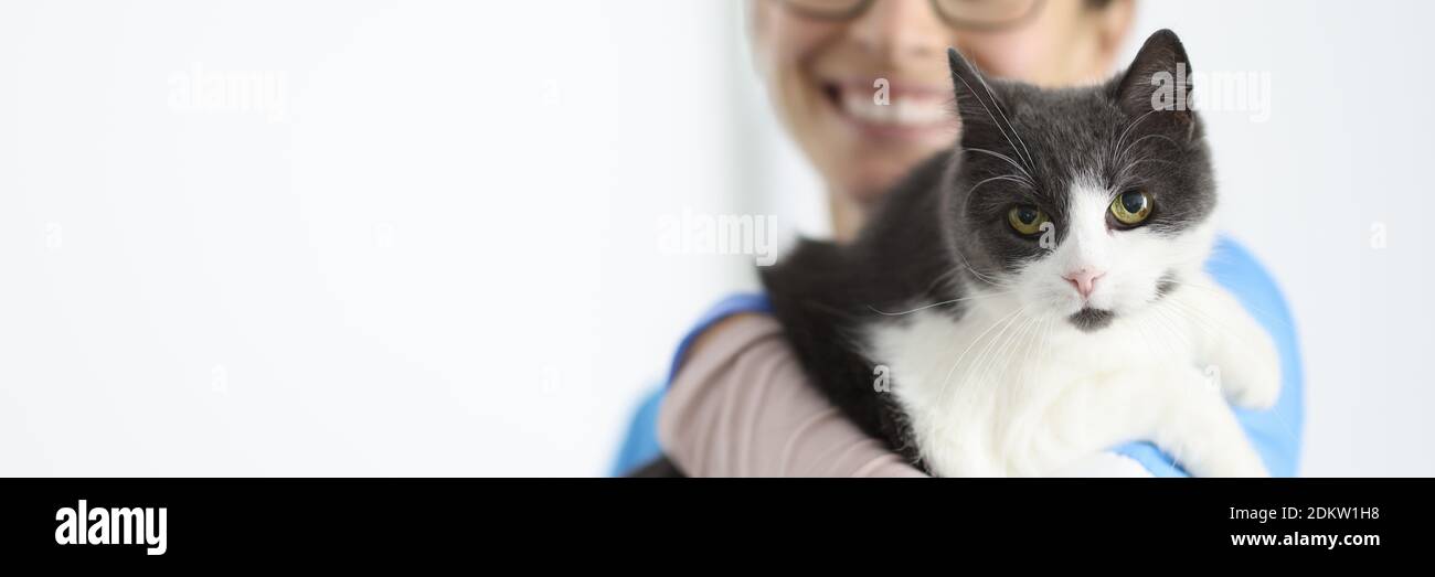Smiling veterinarian holds cat in his arms. Stock Photo