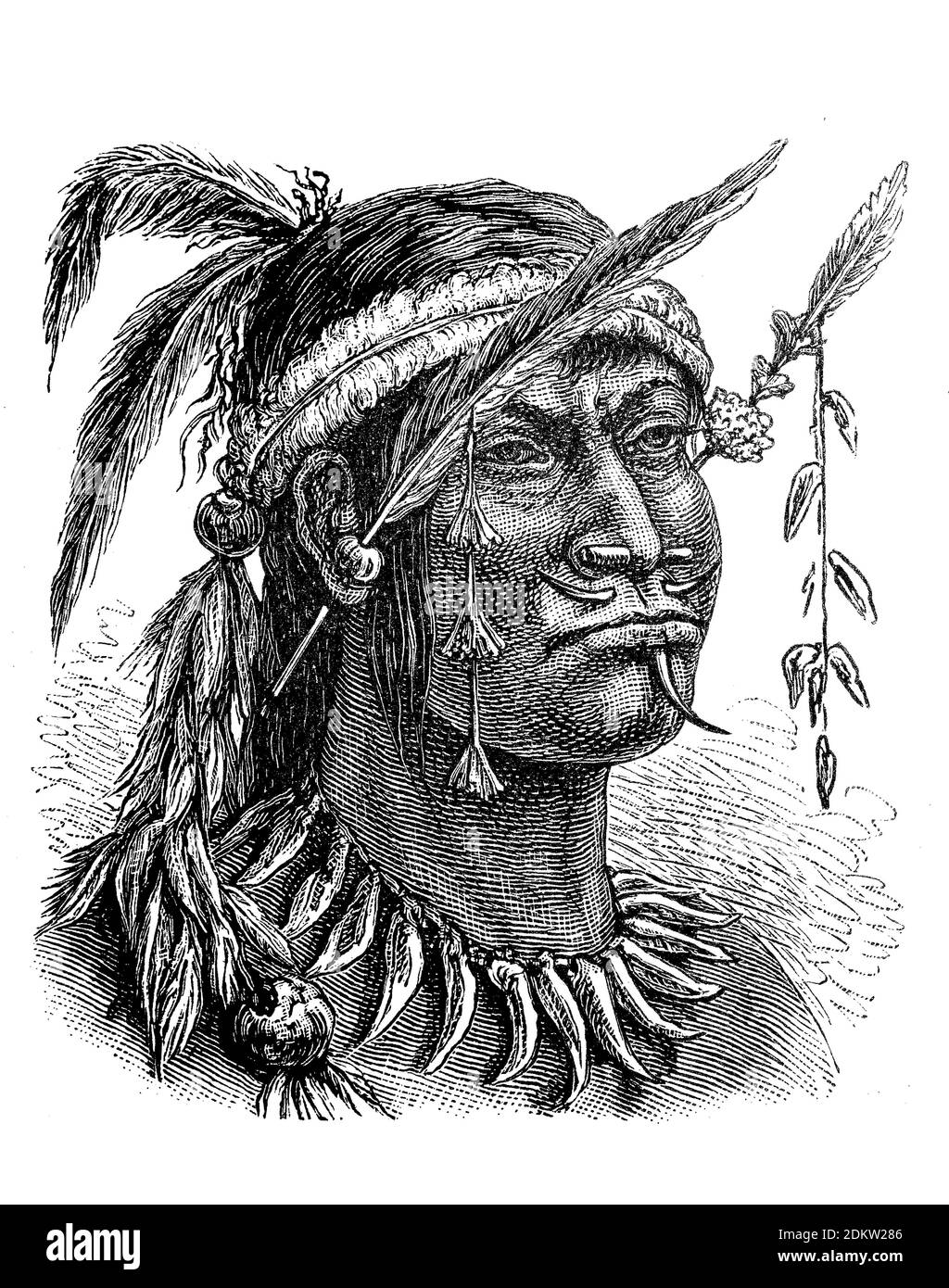 Indian, here a man from the Foregnaje tribe, America, illustration from 1880  /  Indianer, hier ein Mann aus dem Stamm der Foregnaje, Amerika, Illustration aus 1880, Historisch, historical, digital improved reproduction of an original from the 19th century / digitale Reproduktion einer Originalvorlage aus dem 19. Jahrhundert Stock Photo