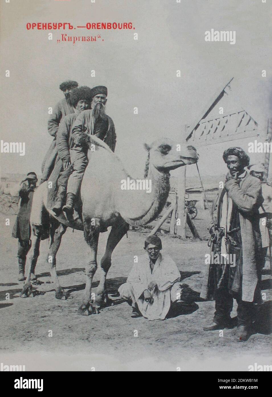 Retro photo of Kirghiz types: Old kirghiz on camel. Orenburg, Russian Empire. 1900s Stock Photo