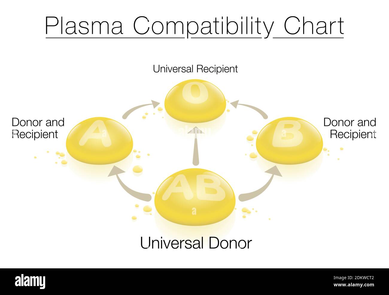 Plasma compatibility chart with universal donor AB and universal recipient 0 - concerning blood and plasma donation and transfusion. Stock Photo