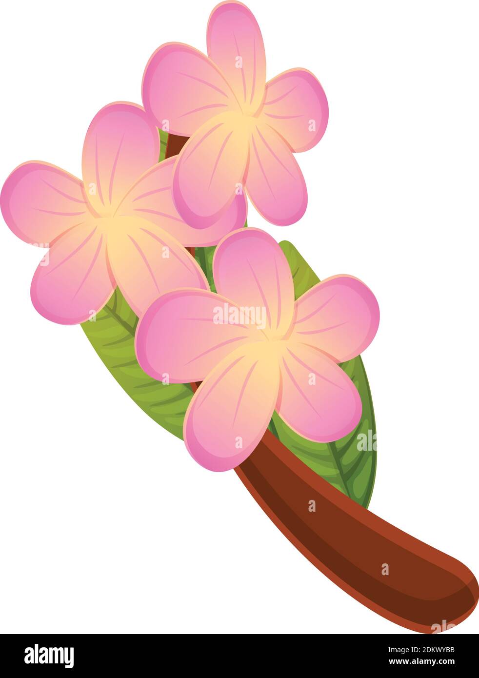 Plumeria bunch icon. Cartoon of plumeria bunch vector icon for web design isolated on white