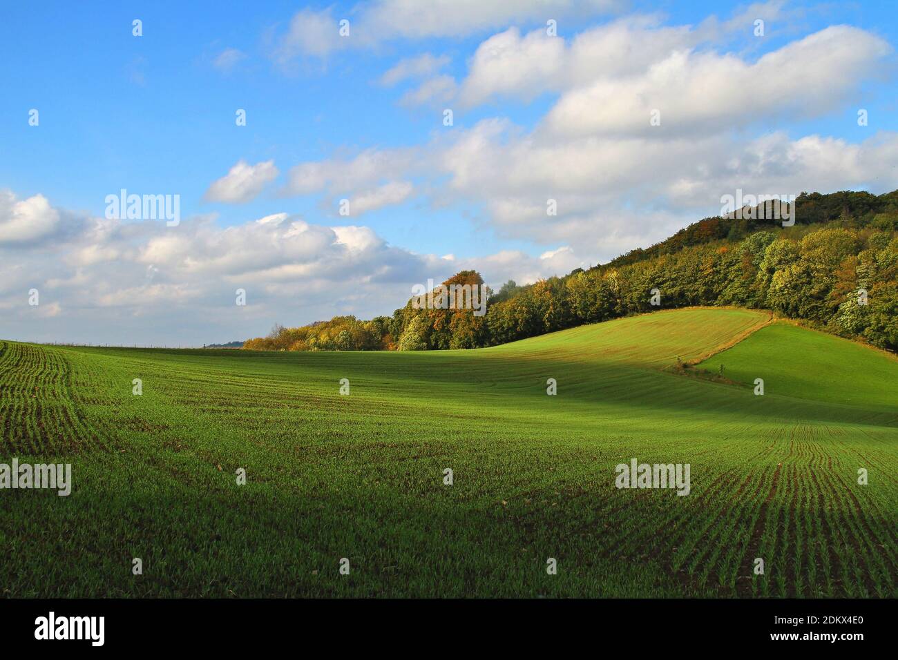 Scenic View Of Field Against Sky Stock Photo