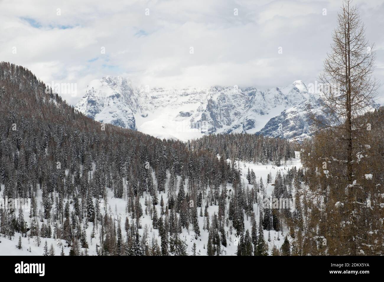 Wintry landscape in the Italian Dolomites. Stock Photo