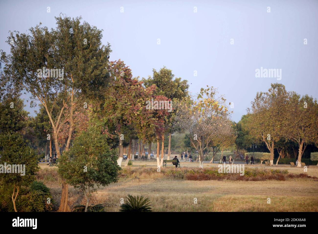 (201216) -- ISLAMABAD, Dec. 16, 2020 (Xinhua) -- Photo taken on Dec. 15, 2020 shows the view of Fatima Jinnah Park in Islamabad, capital of Pakistan. (Xinhua/Ahmad Kamal) Stock Photo