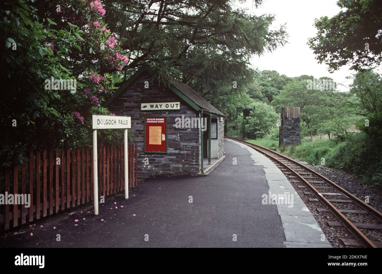 Heritage Talyllyn Railway. Dolgoch Falls Station, Mid Wales, Great