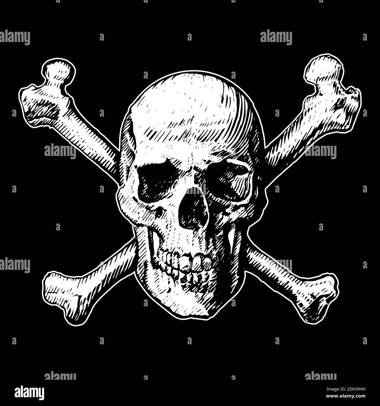 Hand drawn line art anatomically correct human skulls set isolated vector illustration. like a pirates jolly roger. Stock Vector