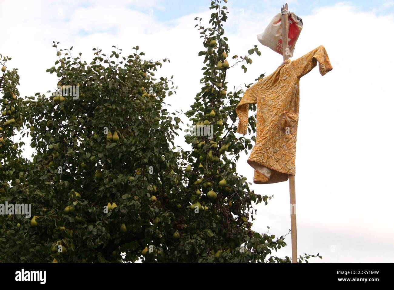 Scarecrow clothing hi-res stock photography and images - Alamy