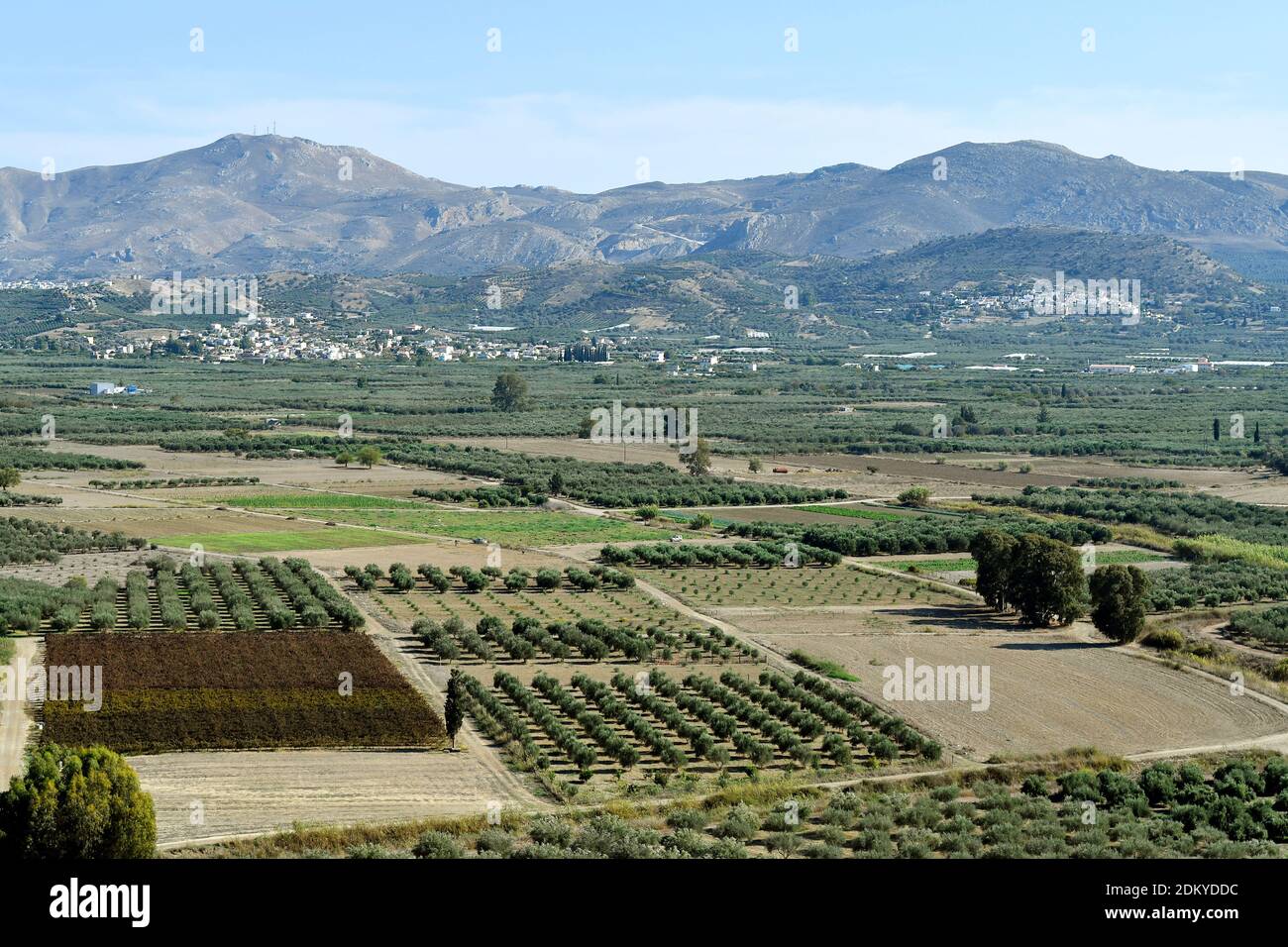 Greece crete landscape olive trees hi-res stock photography and images ...