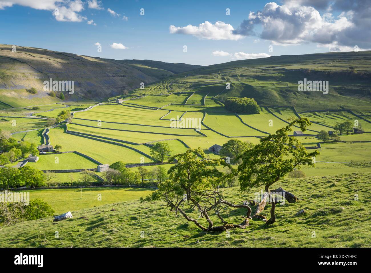 Arncliffe village, distant field system, dry stone walls and limestone crage in Littondale, The Yorkshire Dales, June 2015 Stock Photo