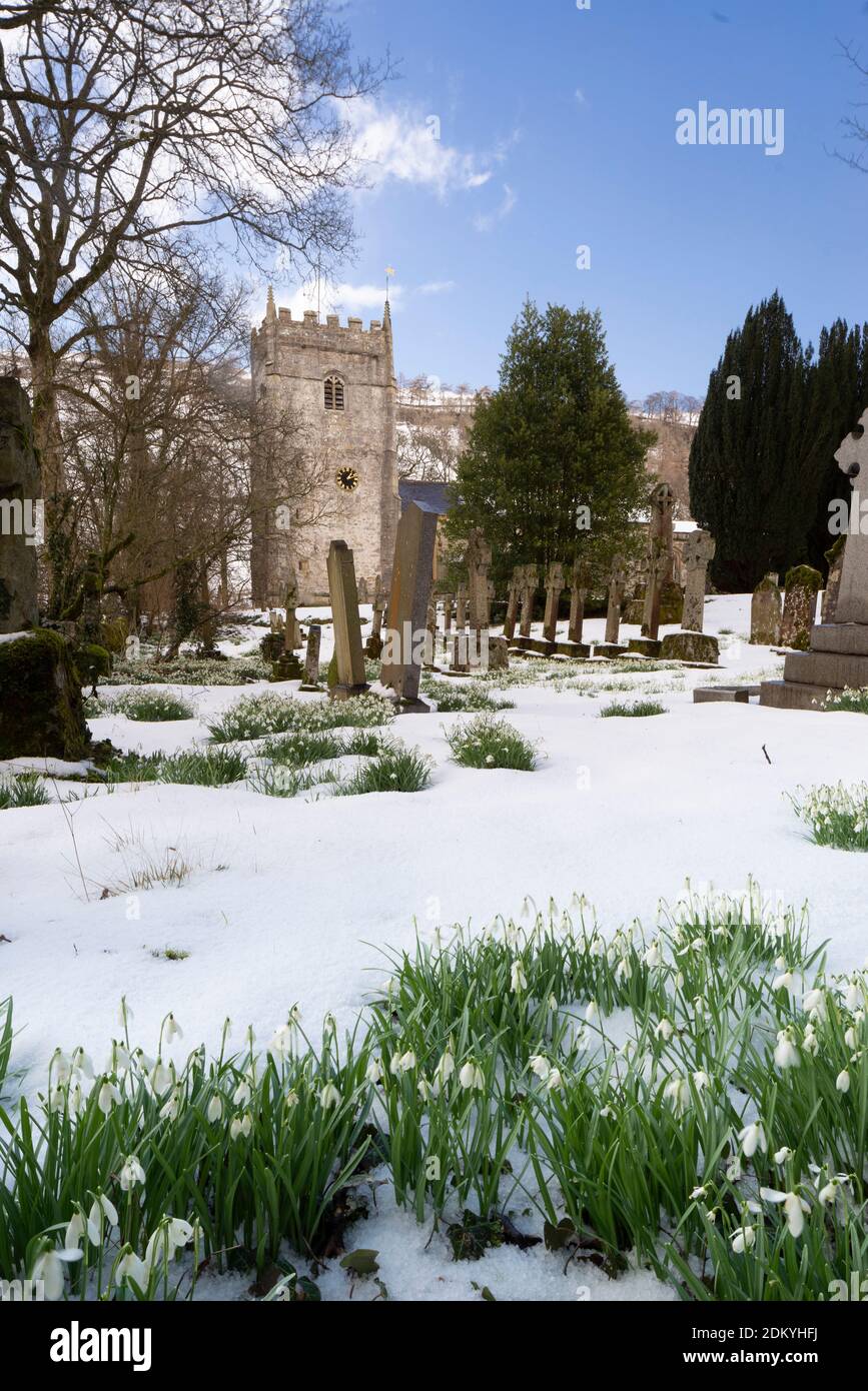Snowdrops at St Oswald's Church in Arncliffe village, Littondale, March 2015. Stock Photo