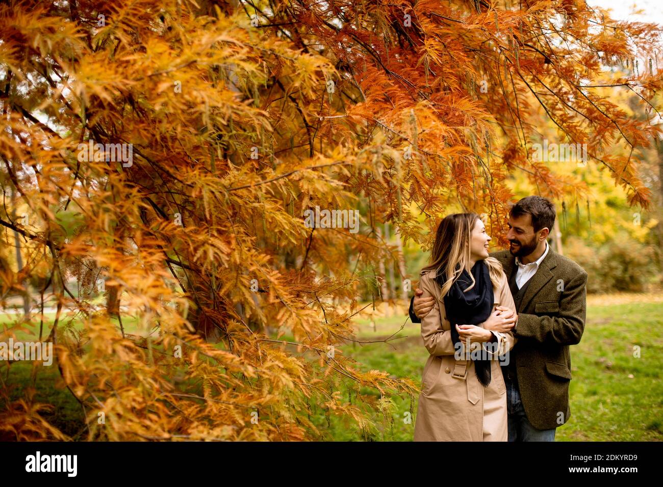 Handsome young couple in the autumn park Stock Photo - Alamy