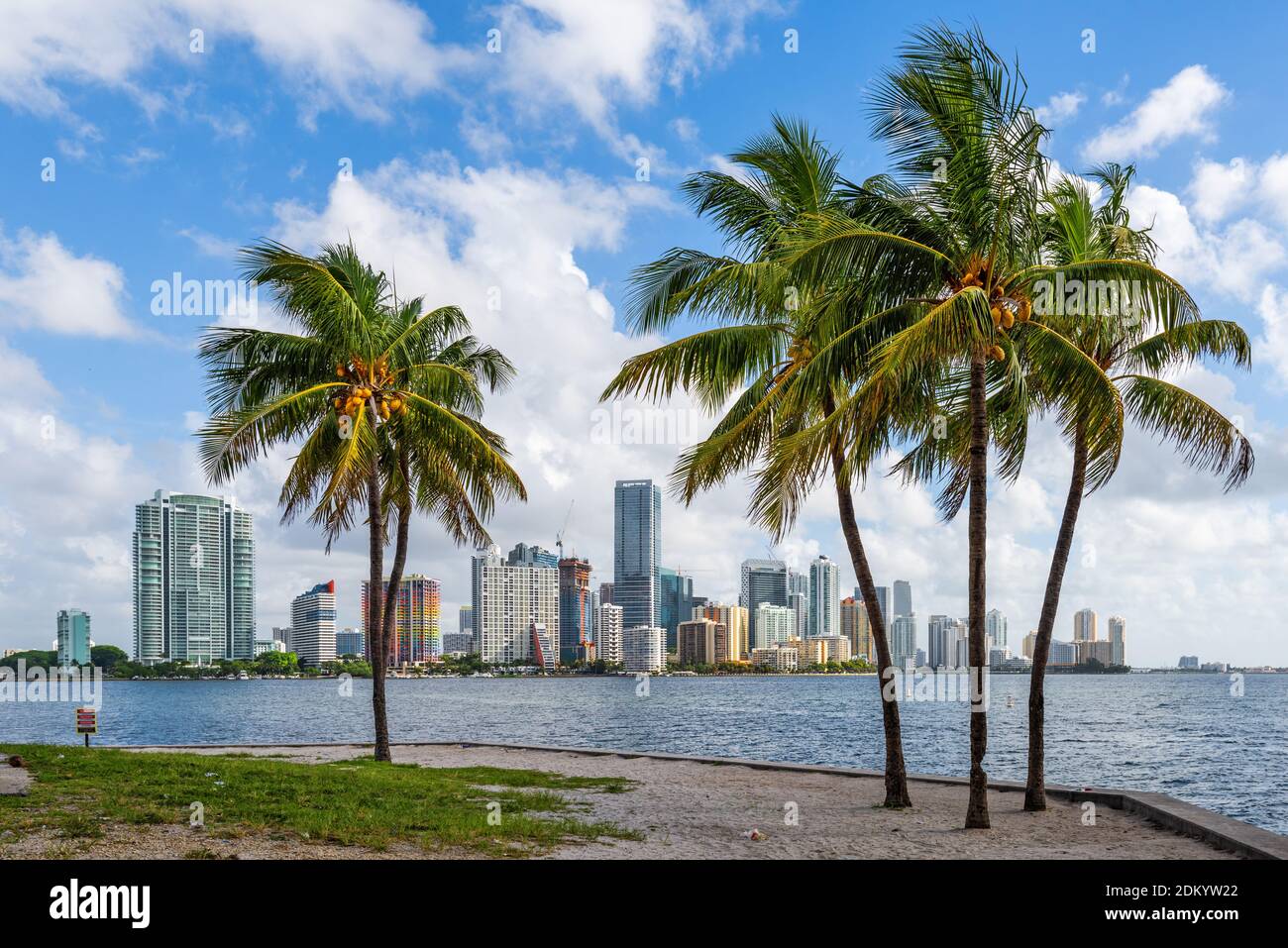 Miami, Florida, USA tropical downtown skyline. Stock Photo