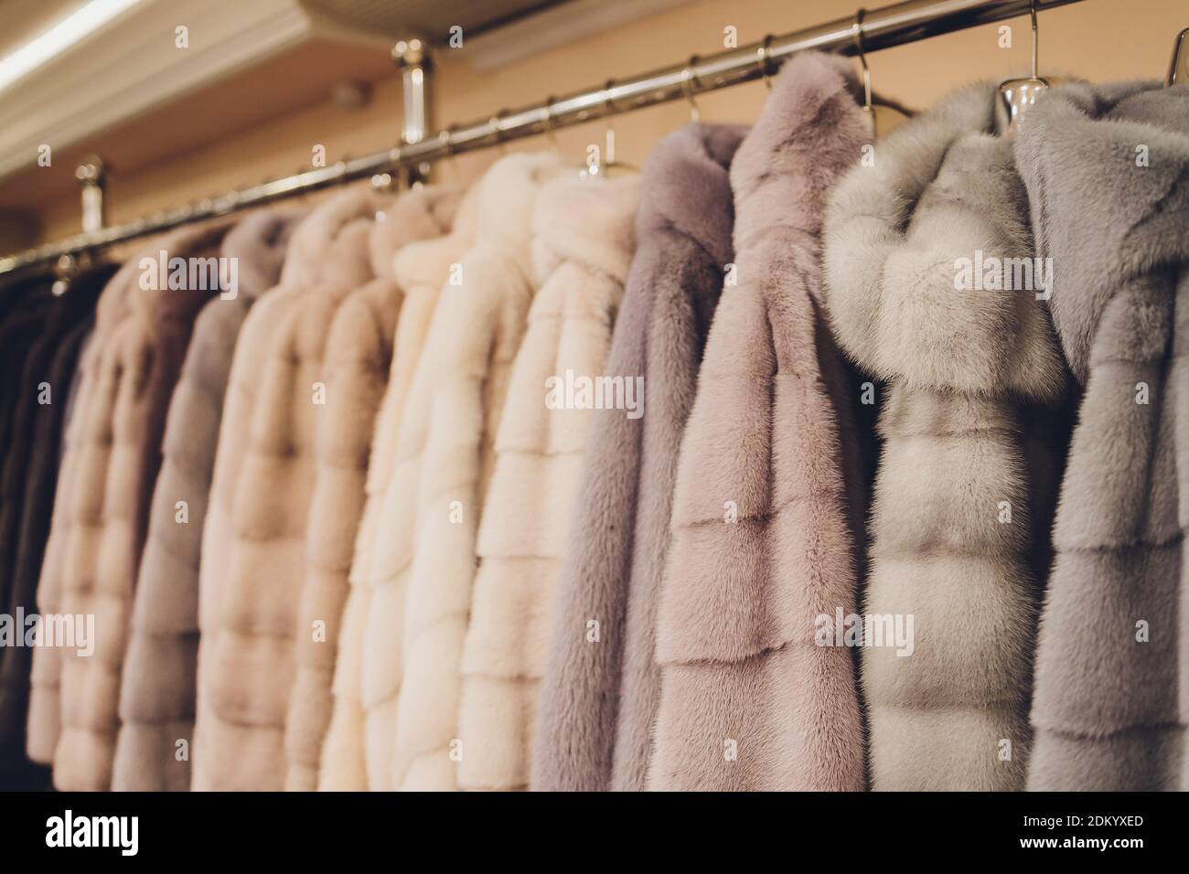 Mink hotsell coat colors