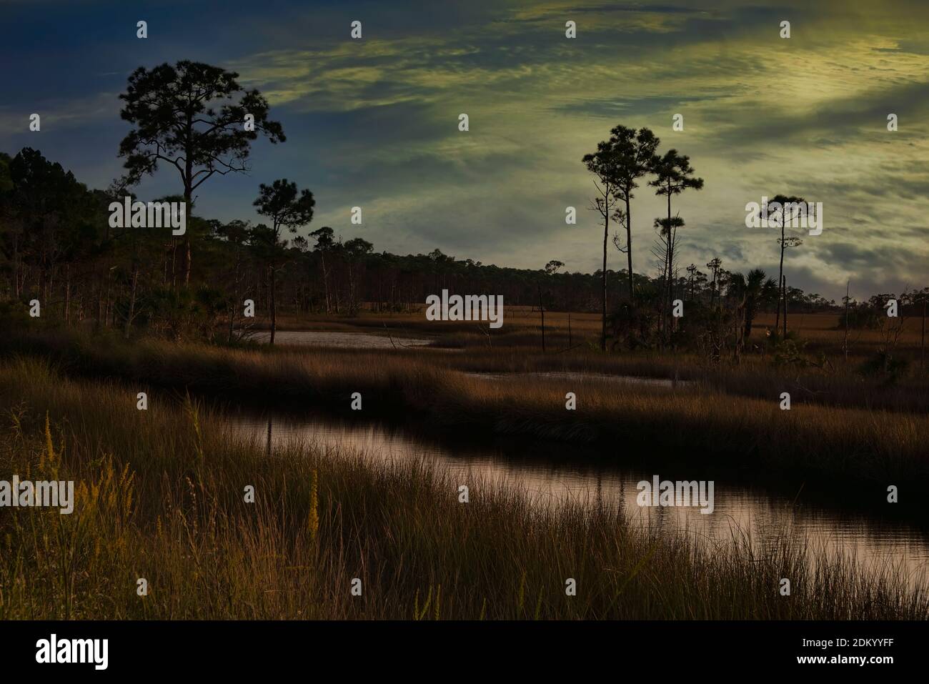 Sun setting on the tropical marsh of St Marks National Park in Florida Stock Photo