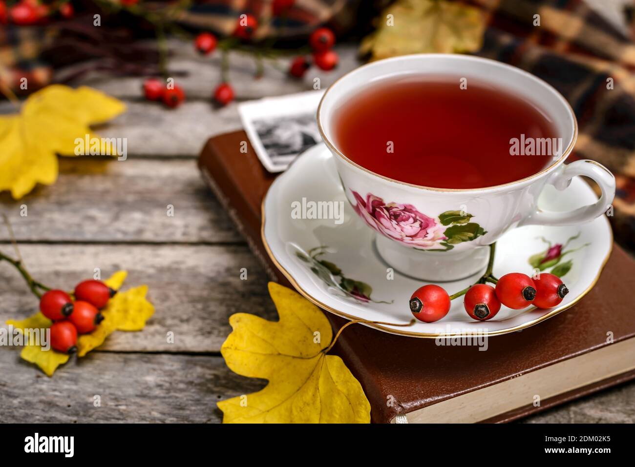A cup of rose hip tea with fresh rose hips, old book and autumn leaves on wooden table. Autumn concept. Stock Photo