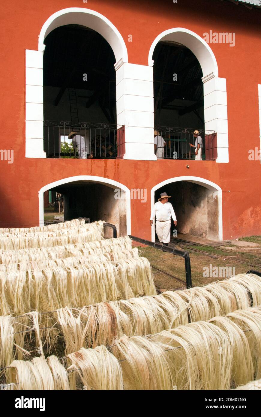 Workers process Henequen, an agave plant, into a fiber suitable for rope and twine, at the Hacienda Sotuta de Peon, Yucatan, Mexico. Stock Photo
