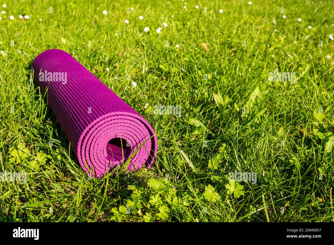 Rolled Yoga mat on green grass with sunlight, close up and front view Stock Photo Alamy