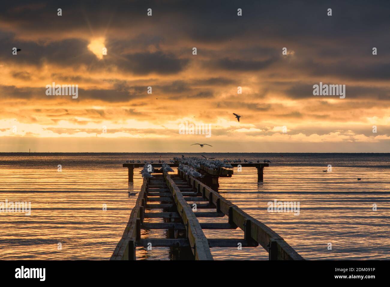 A beautiful golden sunset over an old boardwalk. Photo from Hallevik, Blekinge county, Sweden Stock Photo