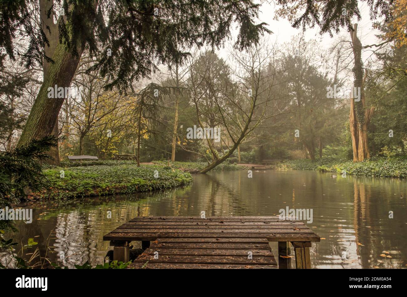 A wooden jetty and a pond surrounded by trees in historic Schoonoord park in Rotterdam, The Netherlands on a hazy day in late autumn Stock Photo