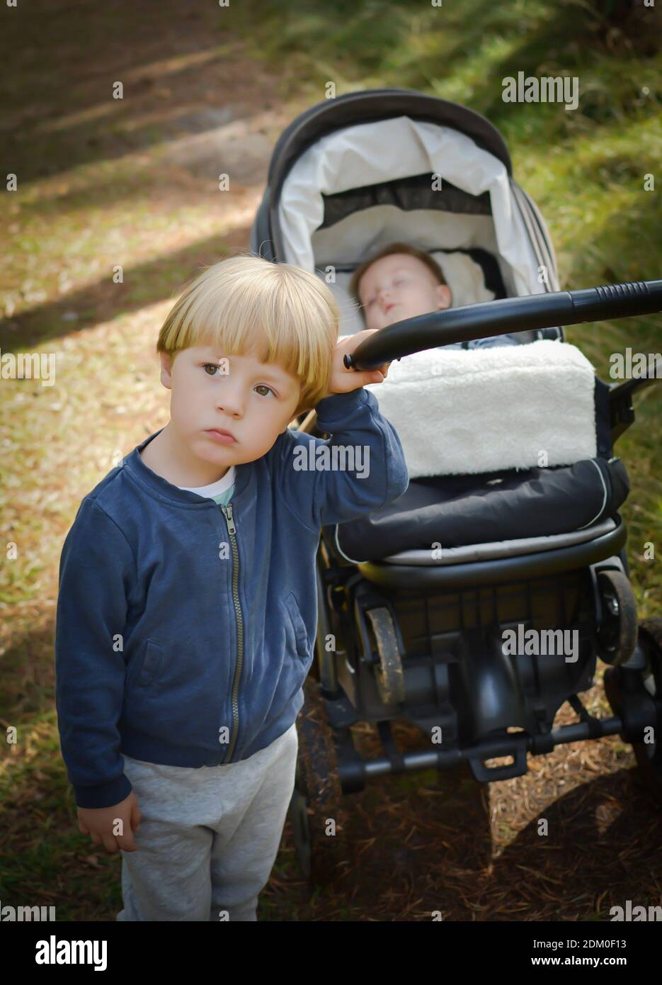 sibling stroller