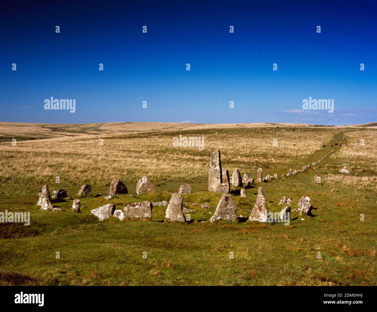 Down tor stone circle hi-res stock photography and images - Alamy