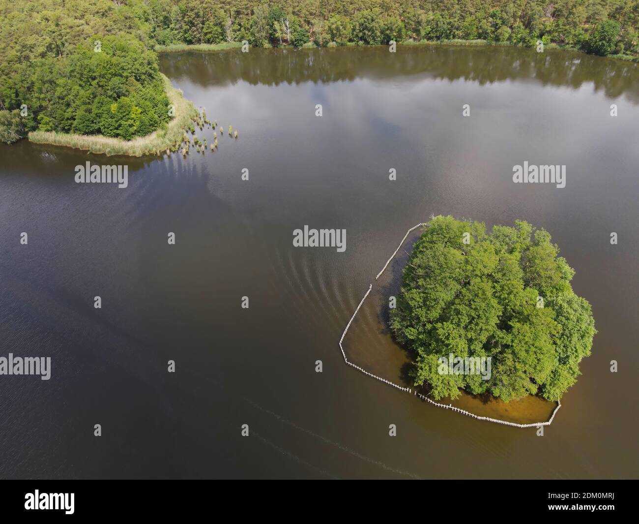 Klein koriser see hi-res stock photography and images - Alamy