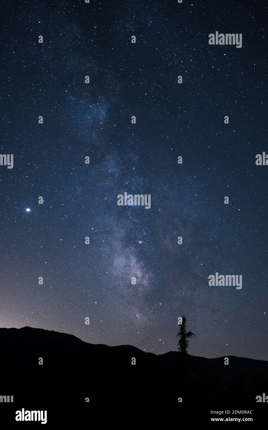 A vertical shot of a tree on a hill under the beautiful starry night ...