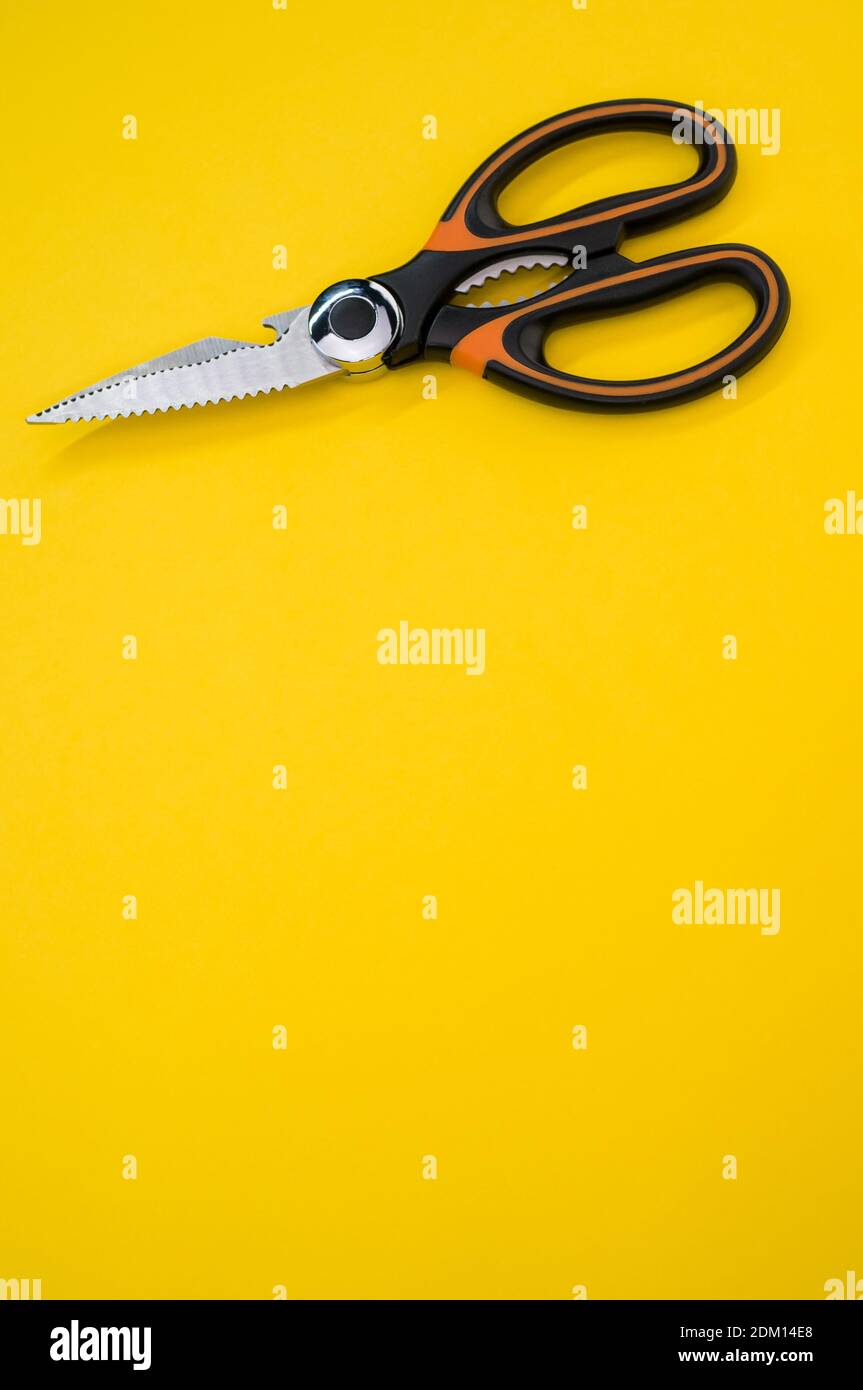 Art Craft Zig Zag Scissors Stock Photo 1250426869