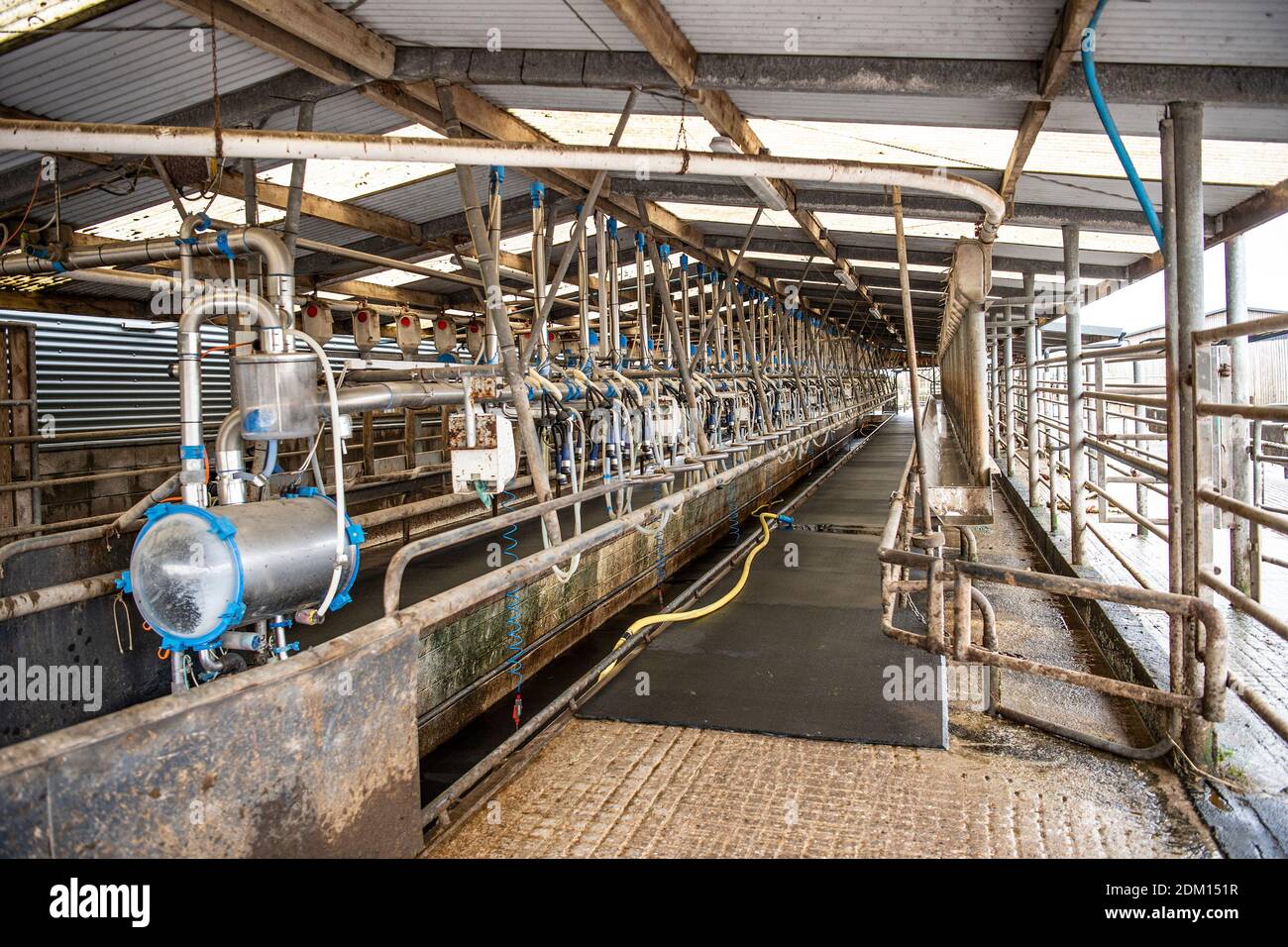 Milking parlour Stock Photo