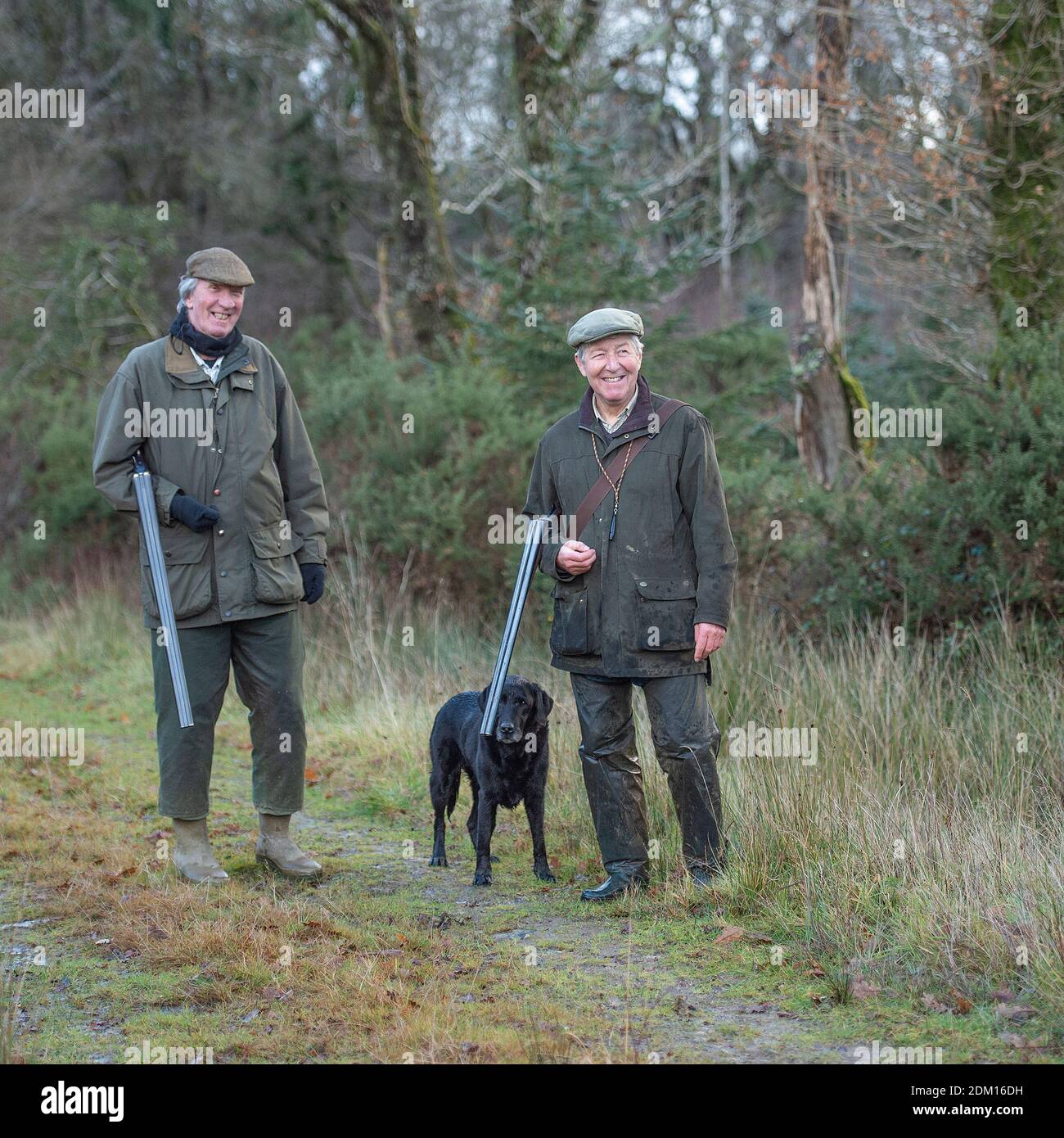 two men on a pheasant shoot with a labrador dog Stock Photo