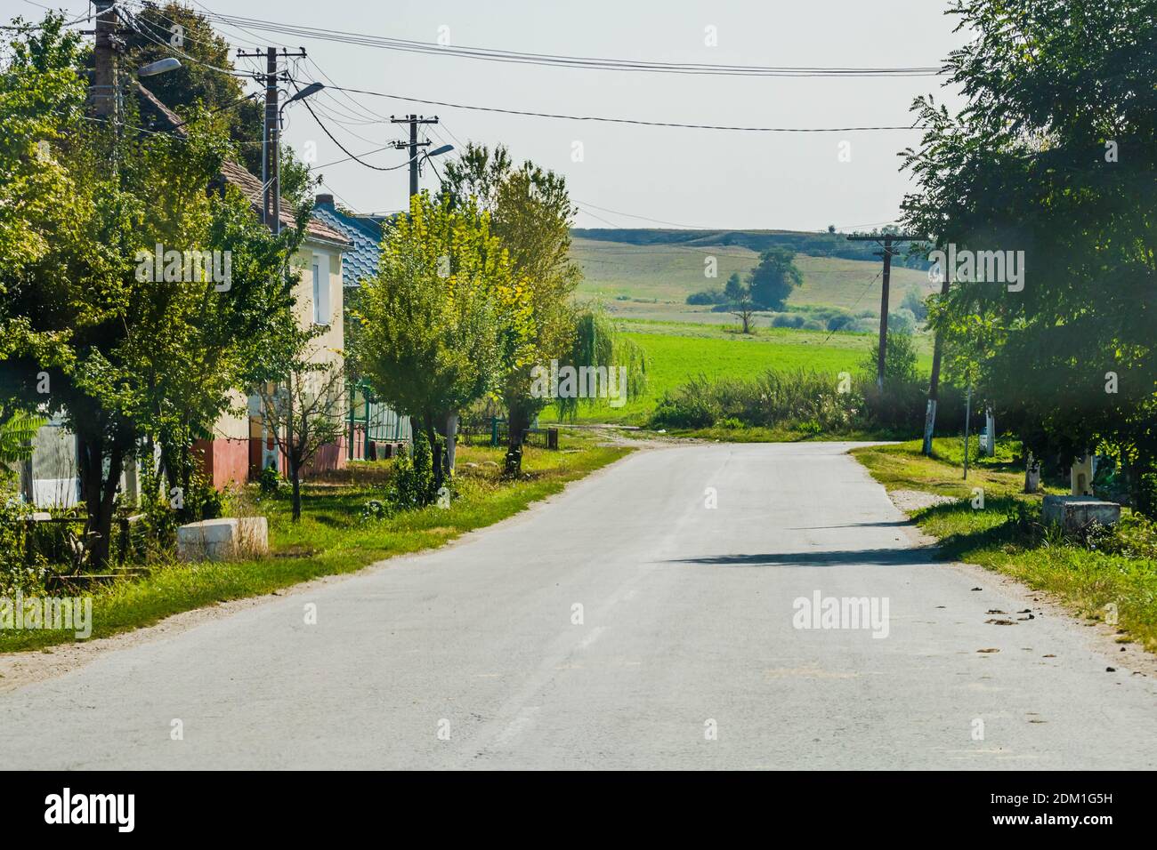 Country road, asphalt street between autumn trees Stock Photo - Alamy
