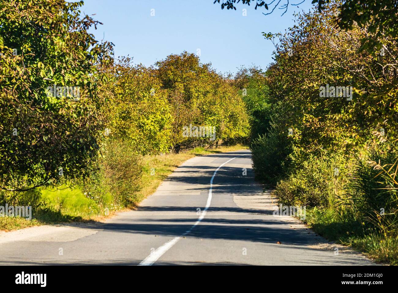 Country road, asphalt street between autumn trees Stock Photo - Alamy