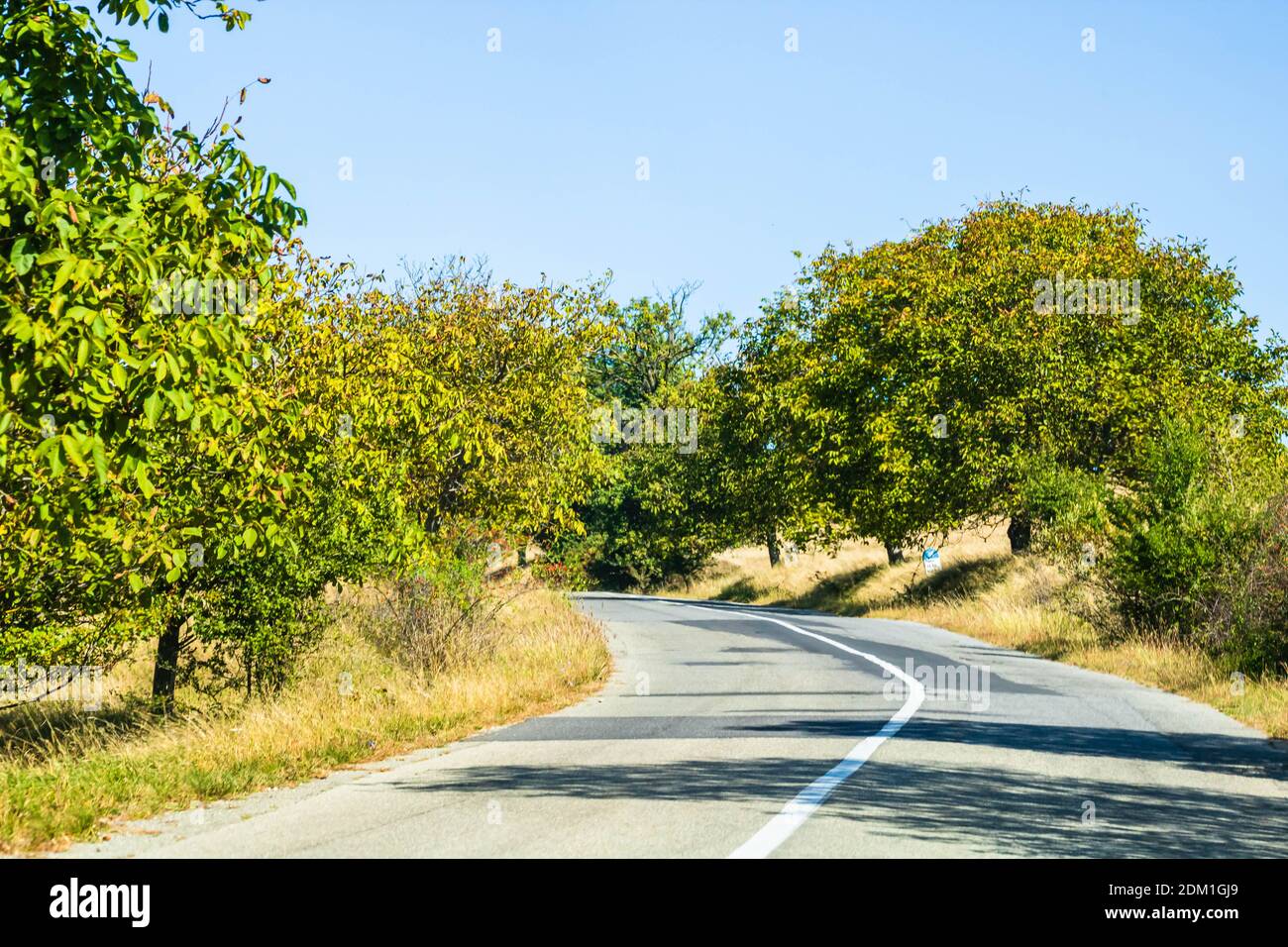 Country road, asphalt street between autumn trees Stock Photo - Alamy