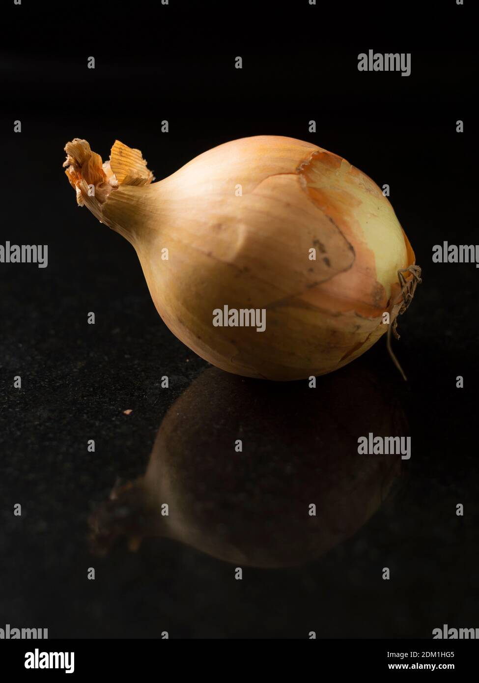 An onion with black background Stock Photo - Alamy