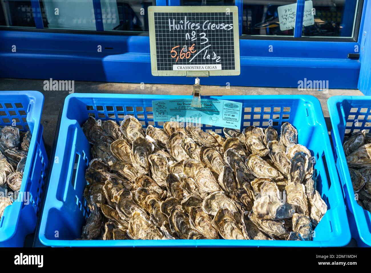 Frische Austern Nr. 3 in Cancale, Bretagne, Frankreich Stock Photo
