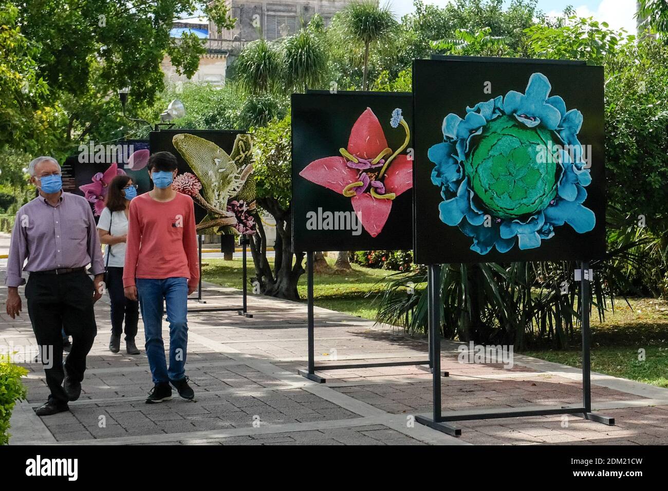 People looking at an exterior exhibit installed on Paseo Montejo, Merida Mexico during the Covid-19 Pandemic Stock Photo