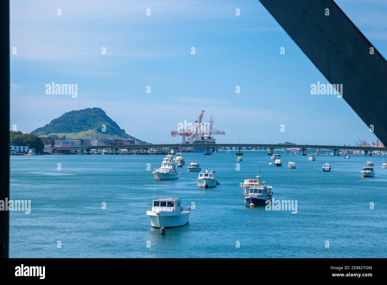 Landmark Mount Maunganui with Port of Tauranga container cranes