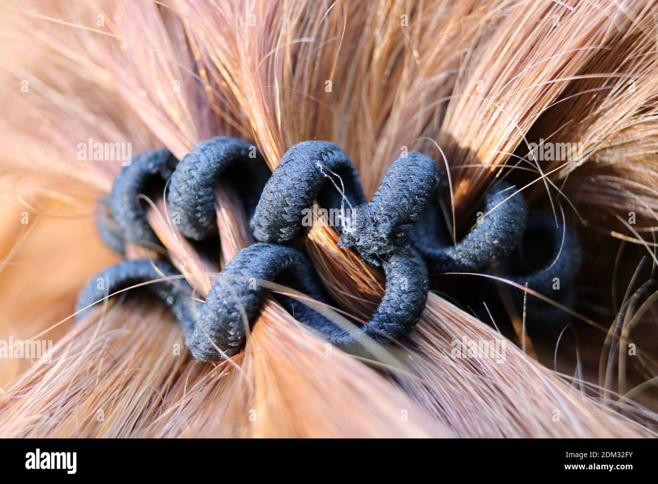 Close-up Of Woman With Scrunchie Stock Photo